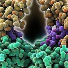 ФСГ норма у женщин для зачатия