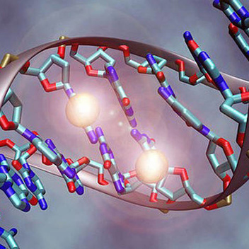 Лютеинизирующий гормон - норма у женщин