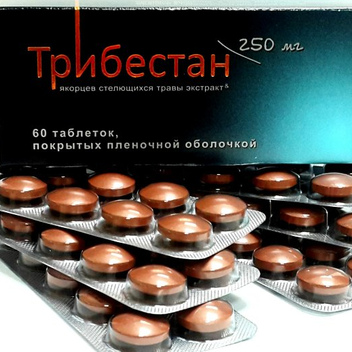 Трибестан при бесплодии